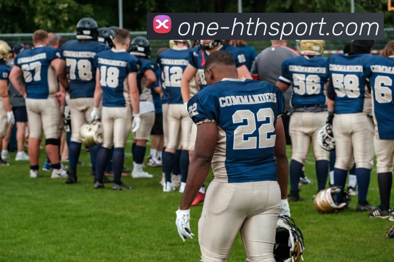 hth体育APP 封面图